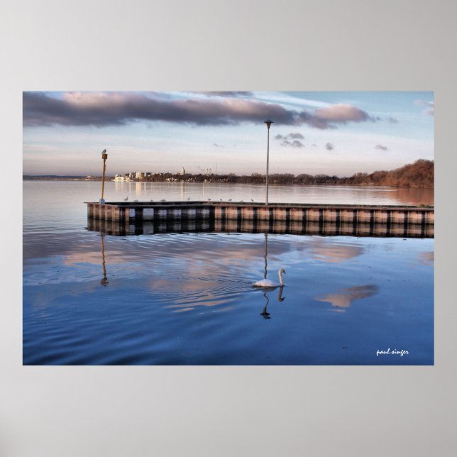Pôster Swan Madison Wisconsin (Frente)