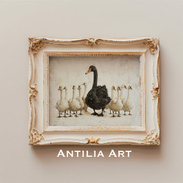 Poster Swan Negro Entre Cisnes Brancas Fazenda Arte Anima