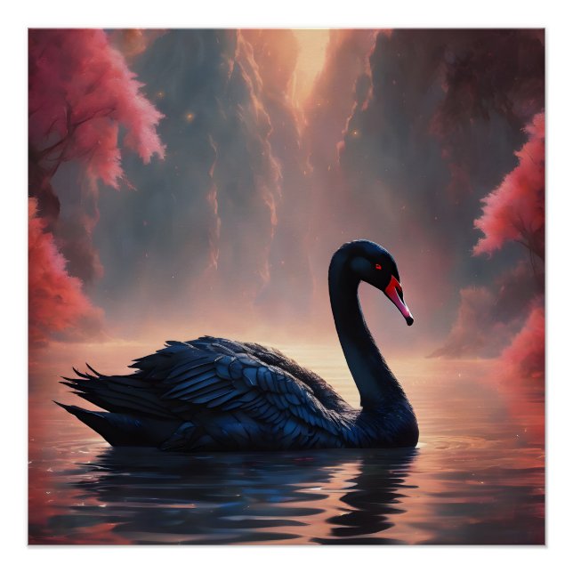 Pôster Swan preto n.o 5 Poster brilhante (Frente)