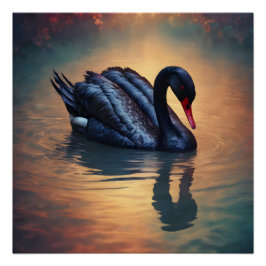 Pôster Swan preto no 4 Poster brilhante