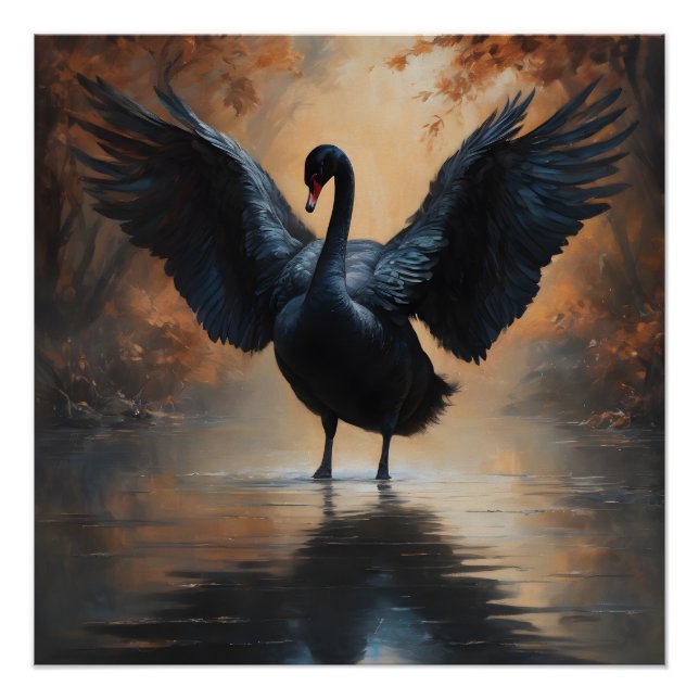 Pôster Swan preto no 6 Poster brilhante (Frente)