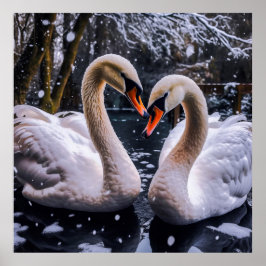 Poster Swans Românticos em uma Terra Maravilha de inverno