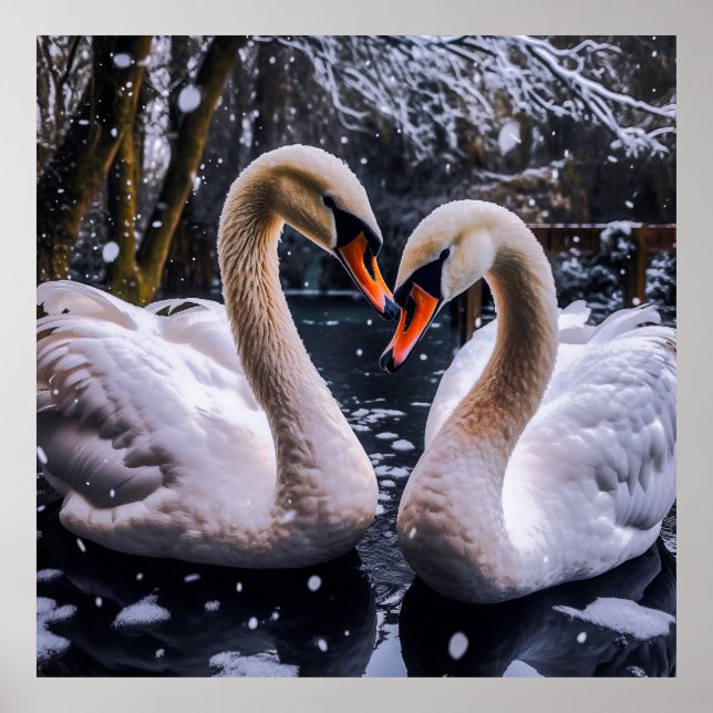 Poster Swans Românticos em uma Terra Maravilha de inverno (Frente)