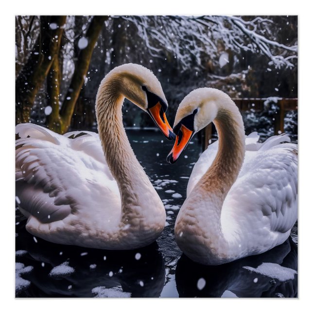 Pôster Swans Românticos em uma Terra Maravilha de inverno (Frente)