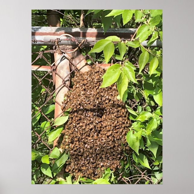 Poster Swarm of Bees (Frente)