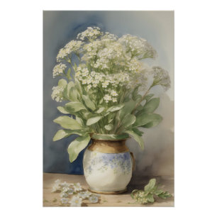Pôster Sweet Alyssum