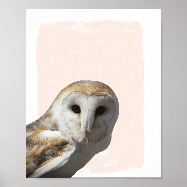 Poster Sweet Barn Owl Nursery (Frente)