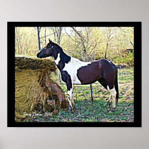 Pôster Sweet Samara