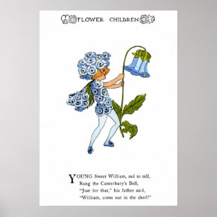 Pôster Sweet William