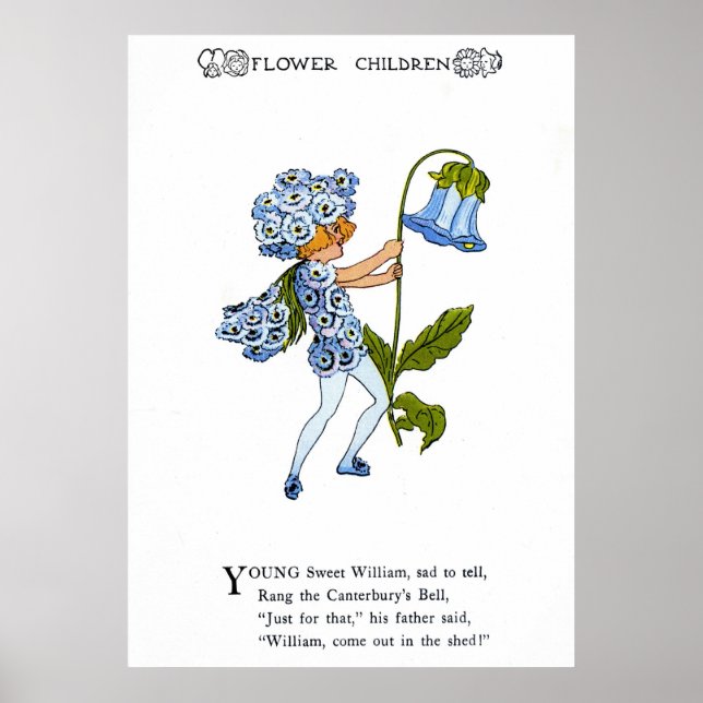 Pôster Sweet William (Frente)