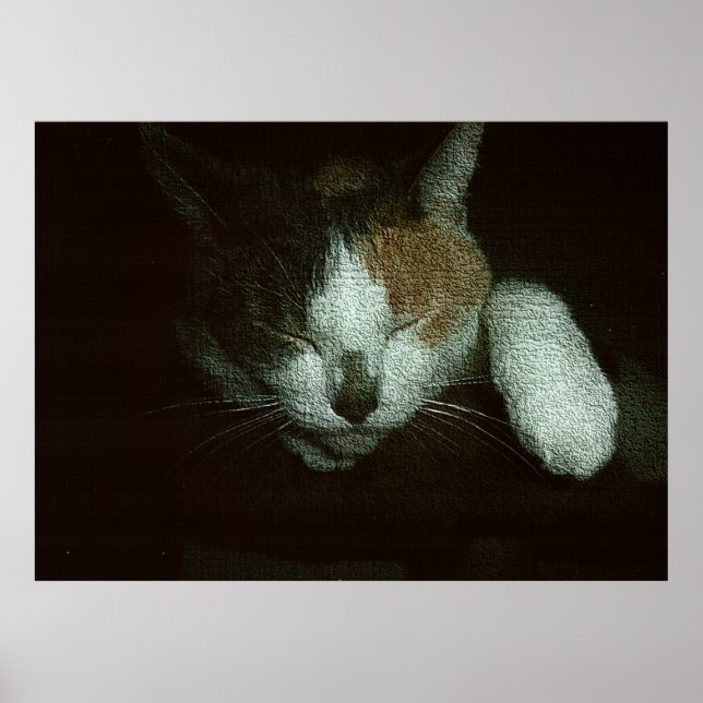 Poster Sweetie Sleeping on a Cat Tree (Frente)