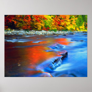 Poster Swift River refletindo as cores do outono