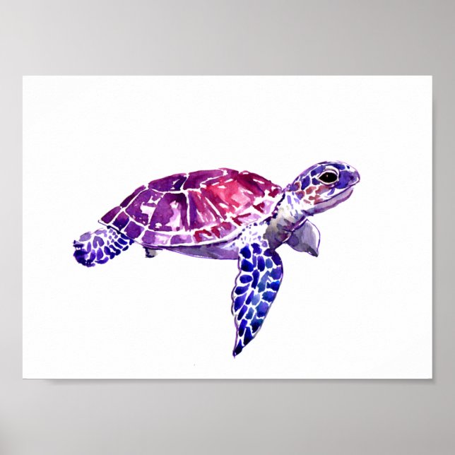 Poster - Swimming Free (Frente)