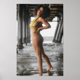 Poster Swimsuit Model Posing Under A Pier
