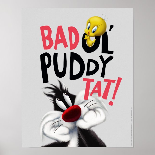 Pôster SYLVESTER™ E TWEETY™ - Mé Velho Gato Malvado (Frente)