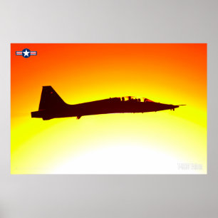 POSTER T-38C TALÃO