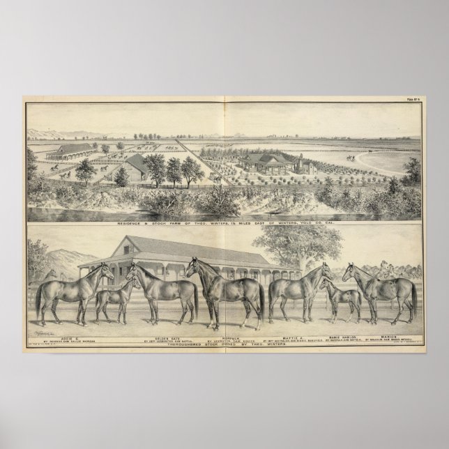 Poster T fazenda Winters (Frente)