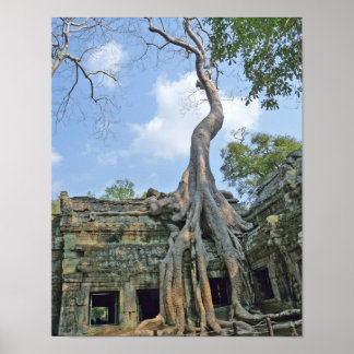 Poster Ta Prohm