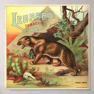 Poster Tabaco 1900 do leopardo