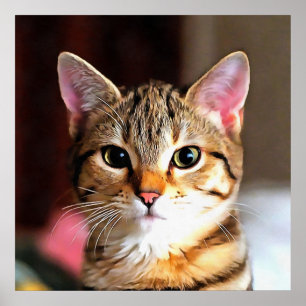 Poster Tabby Artístico Cat Kitten Retrato