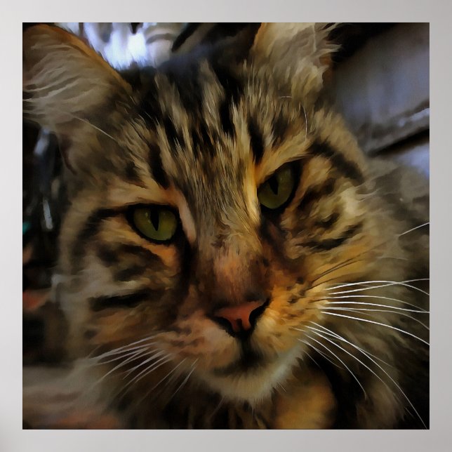 Poster Tabby Cat Artístico Retrato v2 (Frente)