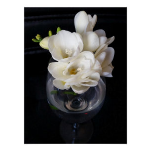 Pôster taça noturna freesia