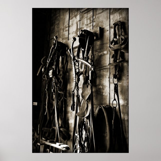 Pôster Tack Ocidental (Frente)