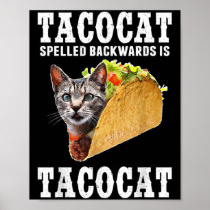 Poster Tacocat Ortografado Para Trás É Tacocat Funny Cat 