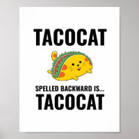 Tacos engraçados Tacos mexicanos comida