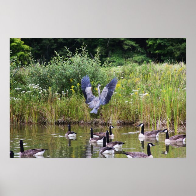 POSTER TADA! (Frente)