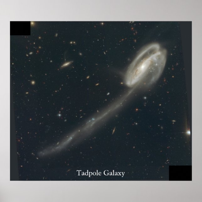 Poster Tadpole Galaxy (Frente)