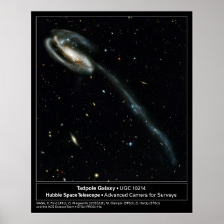 Pôster Tadpole Galaxy Hubble Telescope Foto