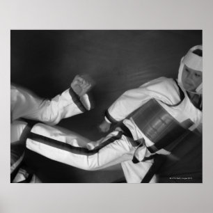 Poster Tae Kwon combina