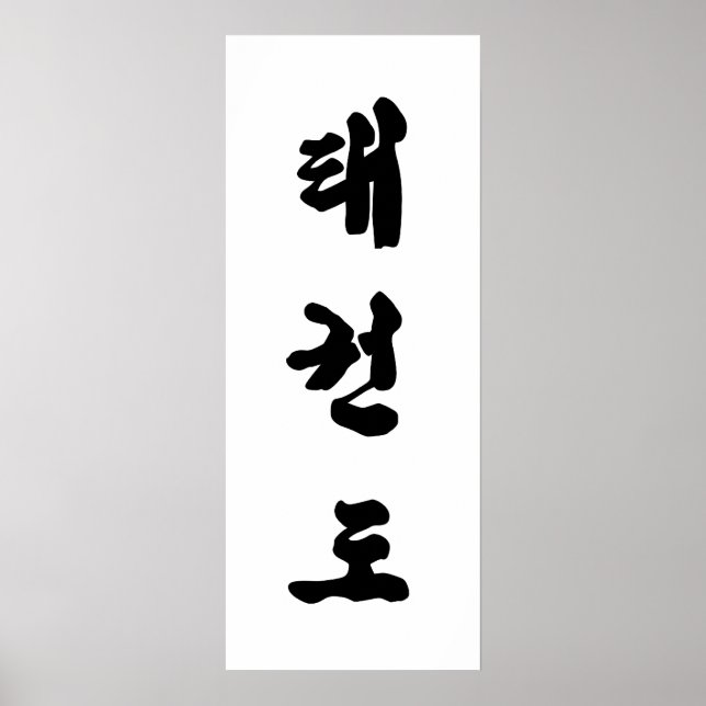 Pôster Tae Kwon Do Canvas (Frente)