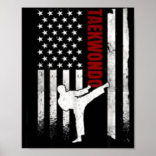 Poster Taekwondo Bandeira Americana Distressed Usa Patrió
