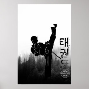 Poster Taekwondo High Kick Coreano