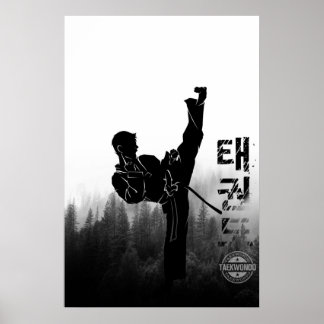 Poster Taekwondo High Kick Coreano