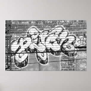Pôster Tag
