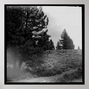 Poster Tahoe National Forest Scene Square - Foto 24x24