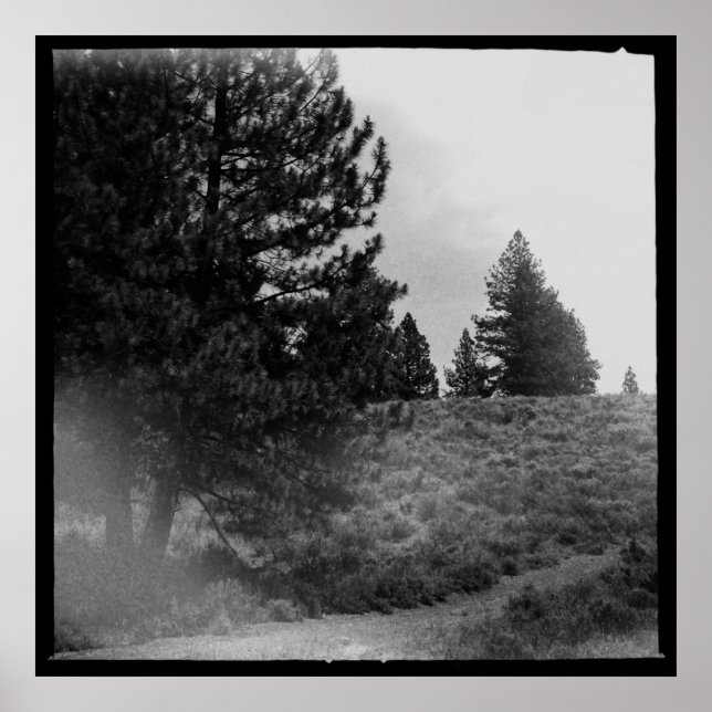 Poster Tahoe National Forest Scene Square - Foto 24x24 (Frente)