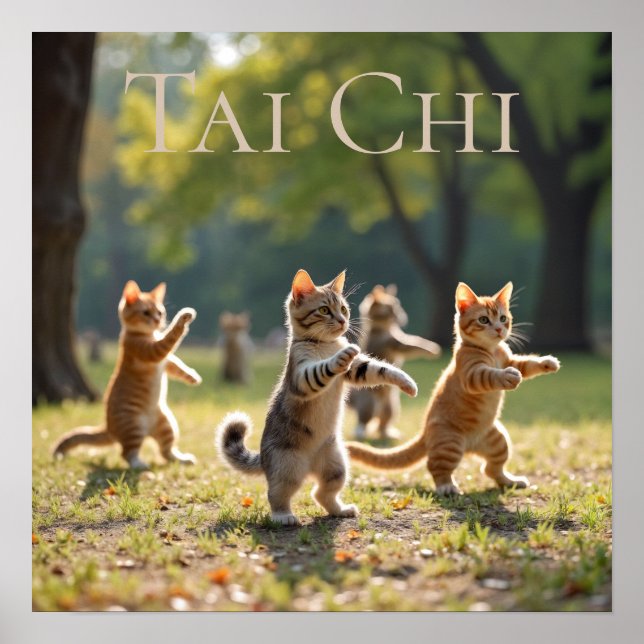 Poster Tai Chi Cats (Frente)
