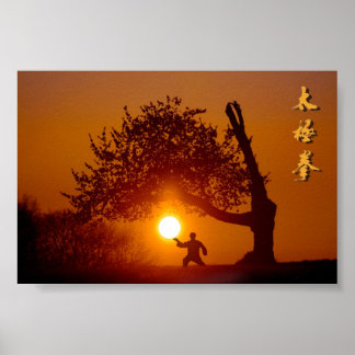 Poster Taichi (taiji), cochante soleil arbre cerisier
