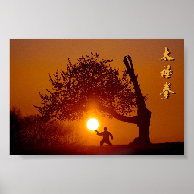 Poster Taichi (taiji), cochante soleil arbre cerisier (Frente)