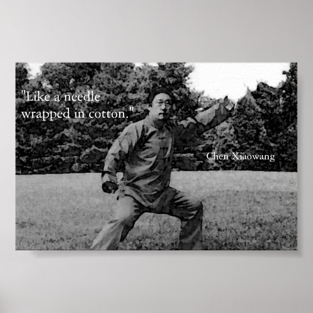 Poster Taiji (Frente)