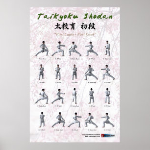Poster Taikyoku Shodan - Primeiro Kata