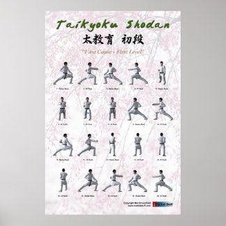 Poster Taikyoku Shodan - Primeiro Kata