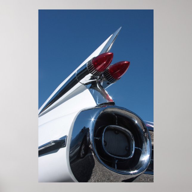 Pôster Tail Fin (Frente)