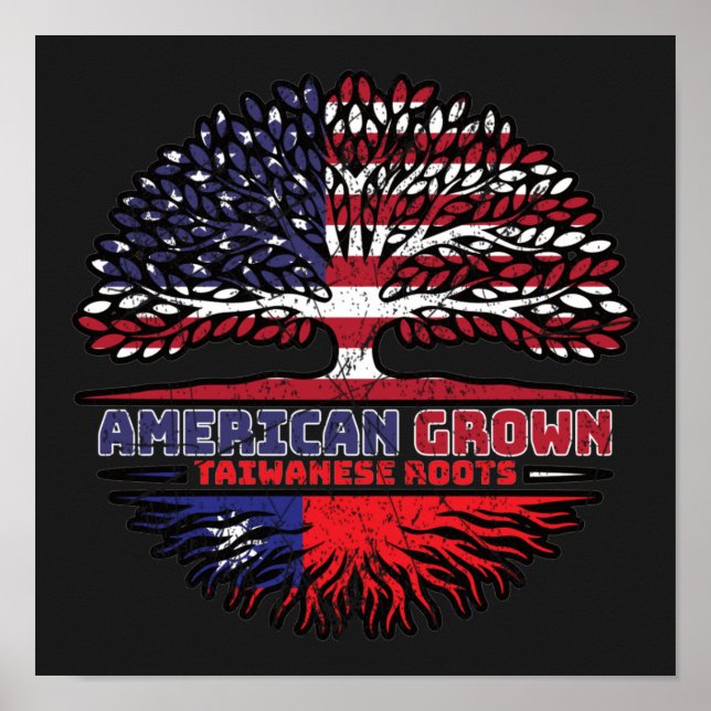 Poster Taiwan EUA EUA EUA EUA Estados Unidos (Frente)