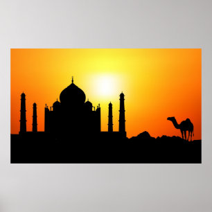 Poster Taj Mahal & camelo no fundo do por do sol