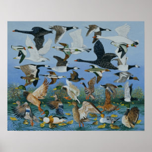 Poster Taking Off 1996